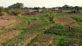 10 Tanzania rejon upraw rplnych