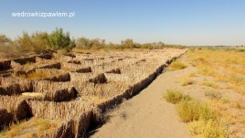 15- pustynia Kara-kum, umocnienia drogi