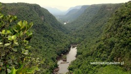 22- rzeka Patara w Amazonii Gujany