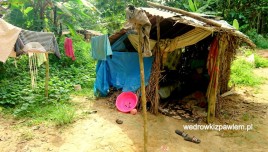 Pigmeje, Kamerun, chata-mieszkalna