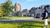 Holandia, Leeuwarden, królik na spacerze przy krzywej wieży Oldehove
