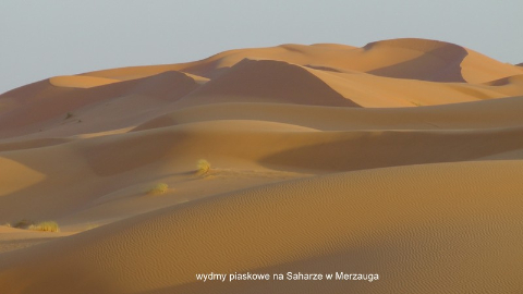 wydmy piaskowe, na Saharze, w Merzauga,