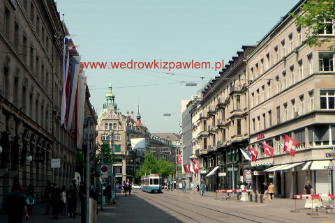 www.wedrowkizpawlem.pl